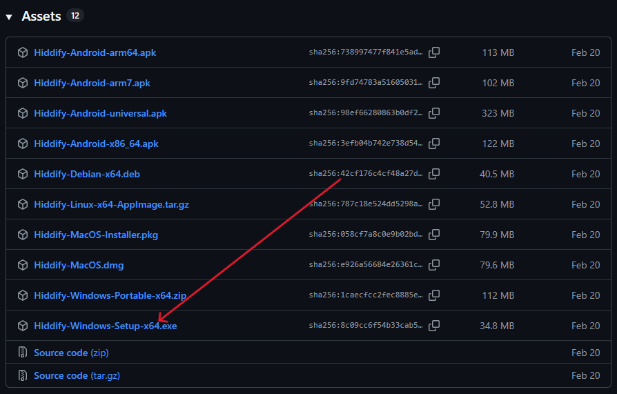 Скачивание hiddify github