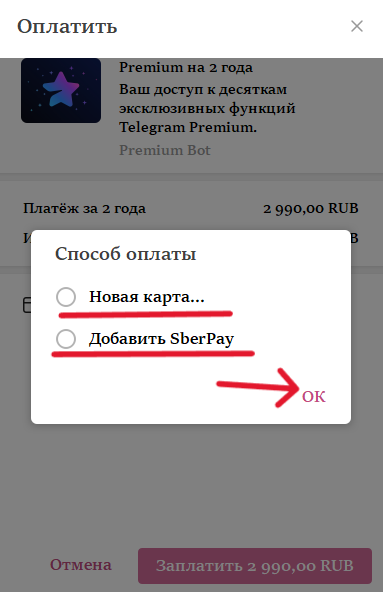 Выбор способа оплаты в PremiumBot